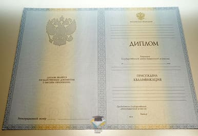 Диплом МИСАО 2012-2013 годов